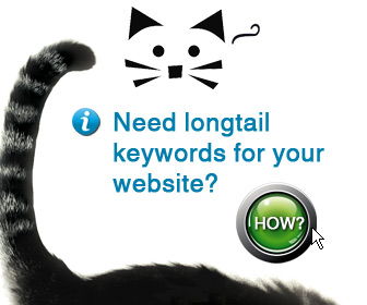 cat long tail key word research