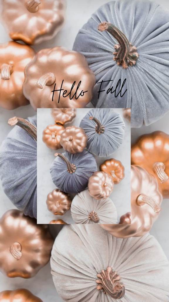 soft-blue-and-copper-pumpkin-wallpaper-Hello-Fall